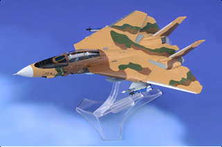 F-14A Tomcat Diecast Model, USNFWS, TOPGUN 33, USNFWS TOPGUN, NAS Miramar