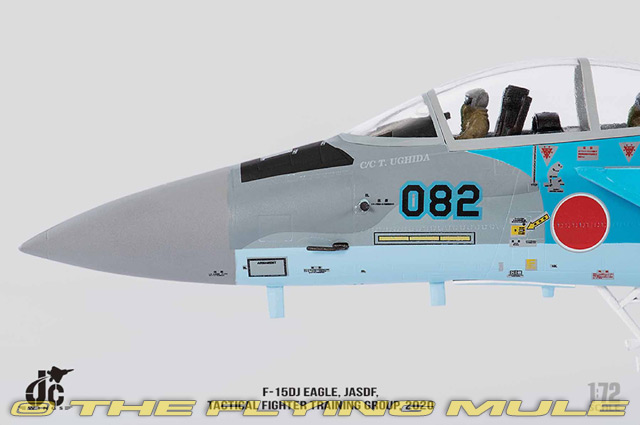 JC Wings 1:72 F-15DJ Eagle JASDF Hiko Kyodotai #32-8082 | eBay